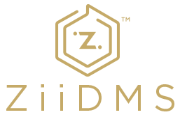 Intro_ZiiDMS_Logo